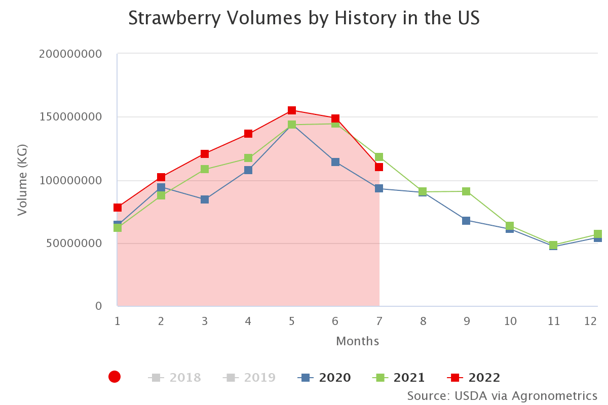 strawberry volumes by hi